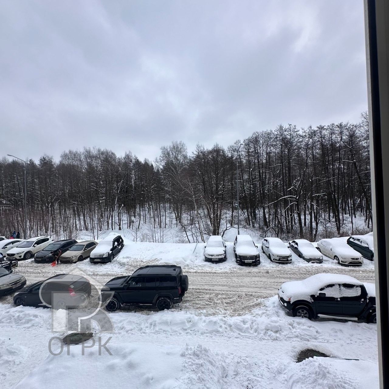 Купить студию, №388588