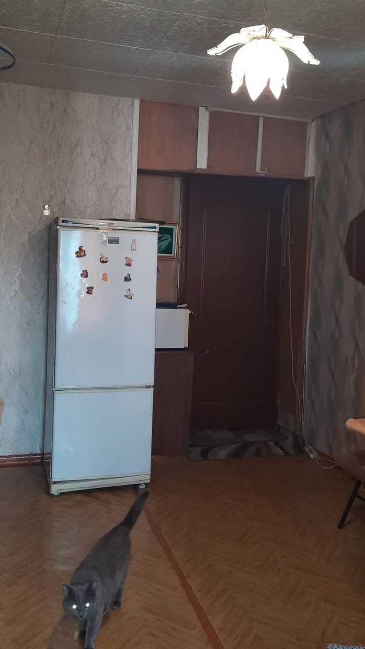 Купить 1-комнатную квартиру, №338885