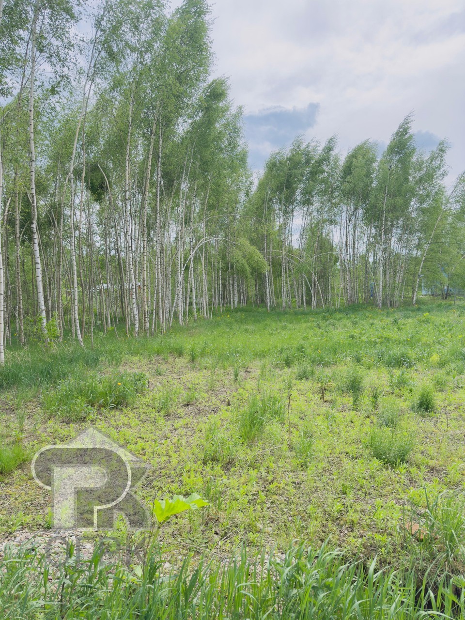 Купить землю, №380982