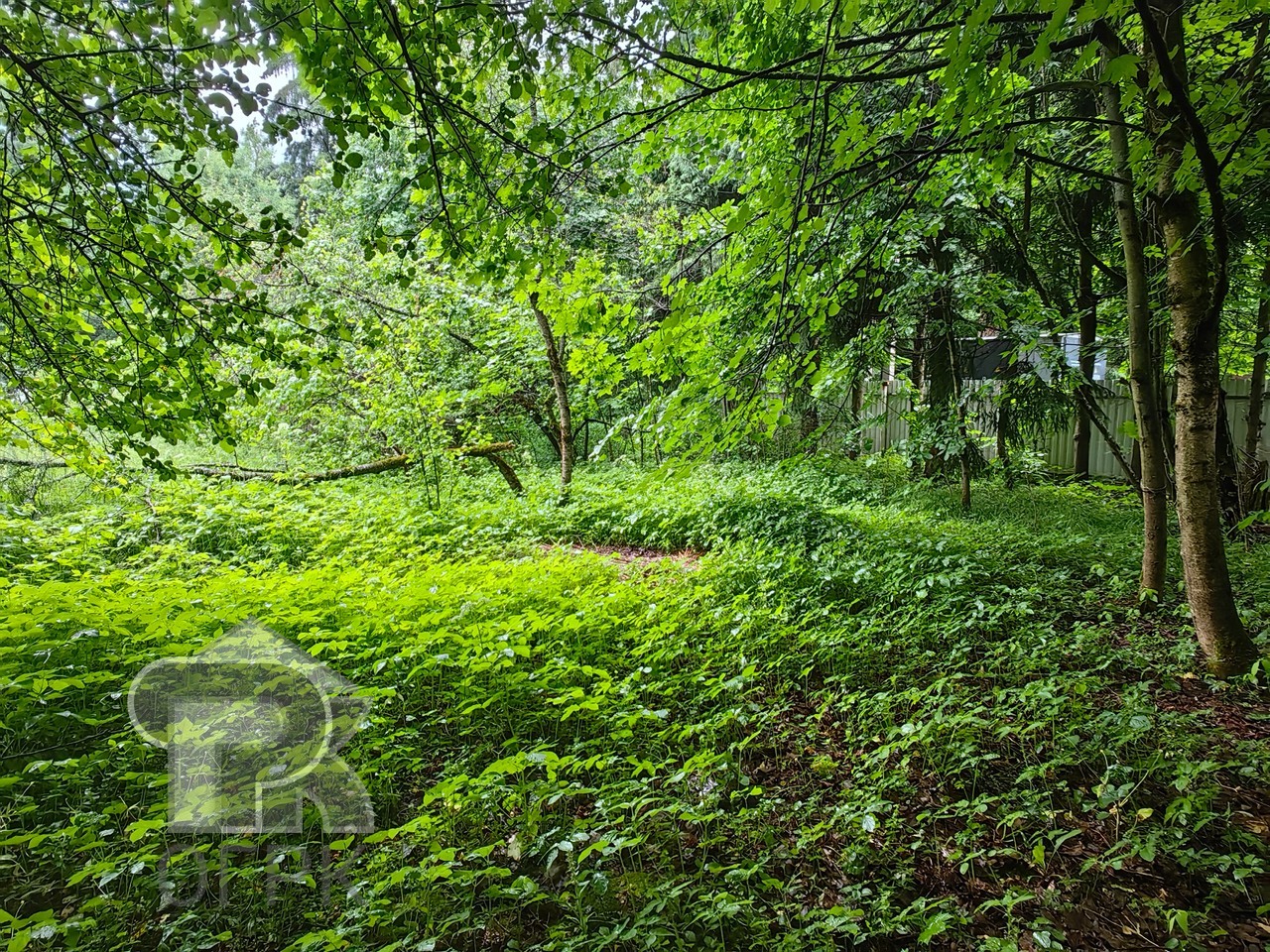 Купить землю, №390389