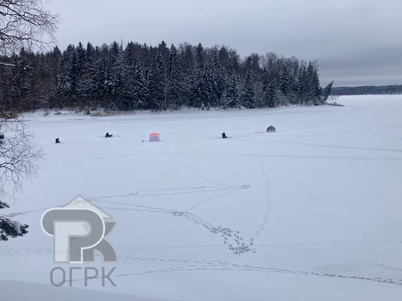 Купить землю, №386363