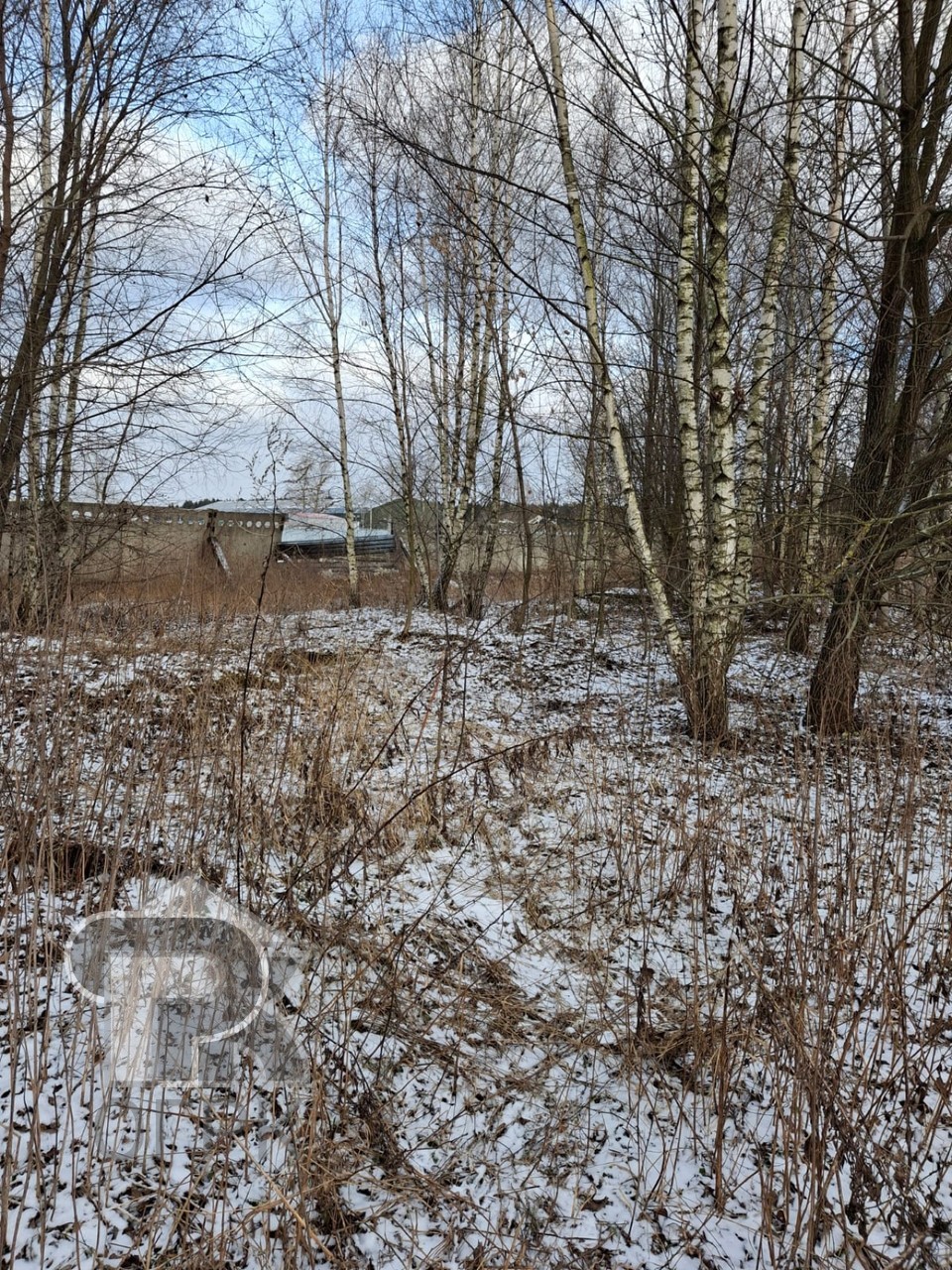 Купить землю, №386199