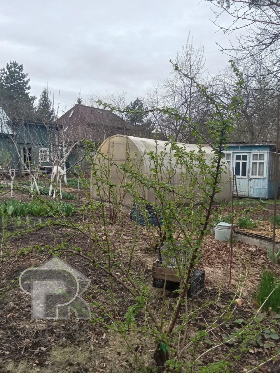 Купить дом, №389351