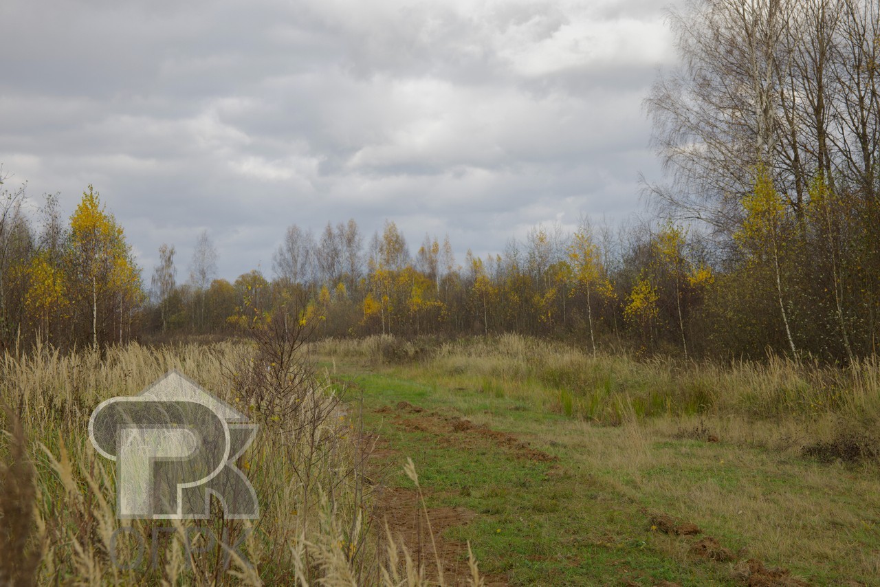 Купить землю, №387313