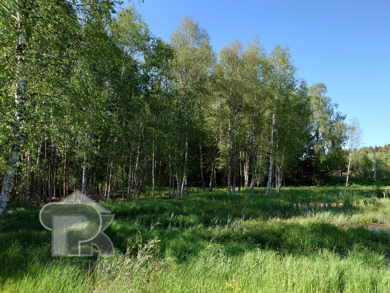 Купить землю, №385696