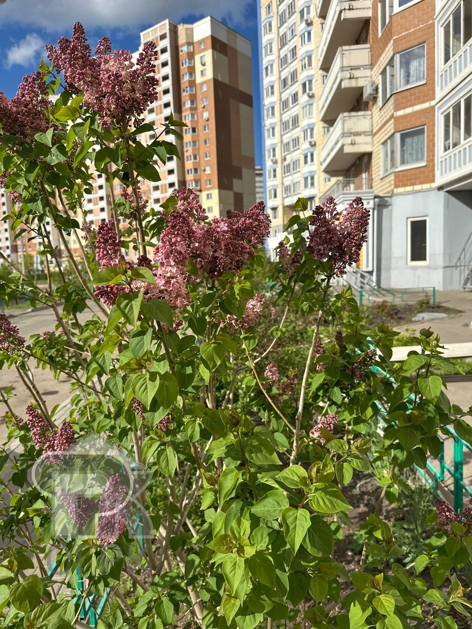 Купить 1-комнатную квартиру, №385219