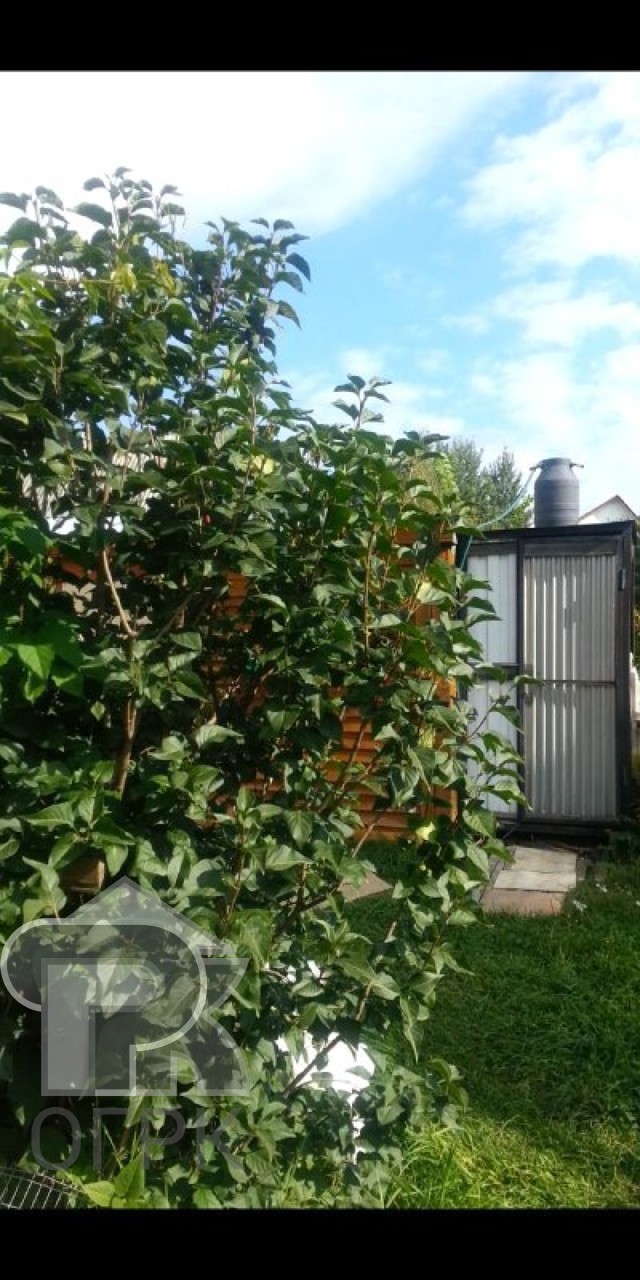 Купить землю, №388502