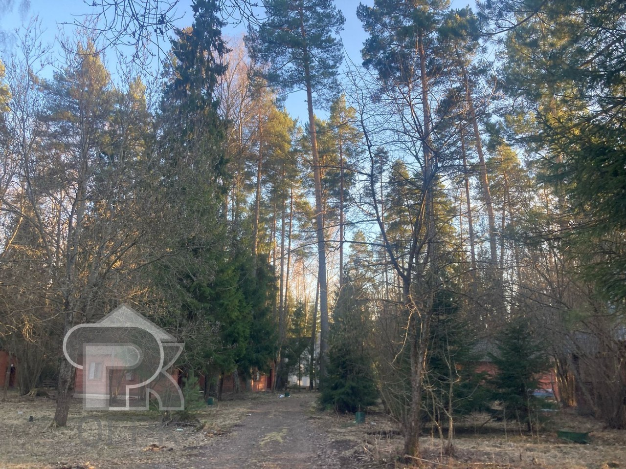 Купить землю, №384353