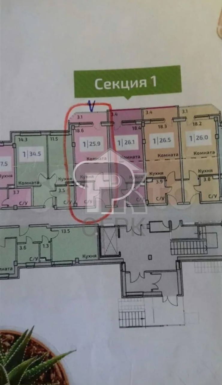 Купить студию, №386119