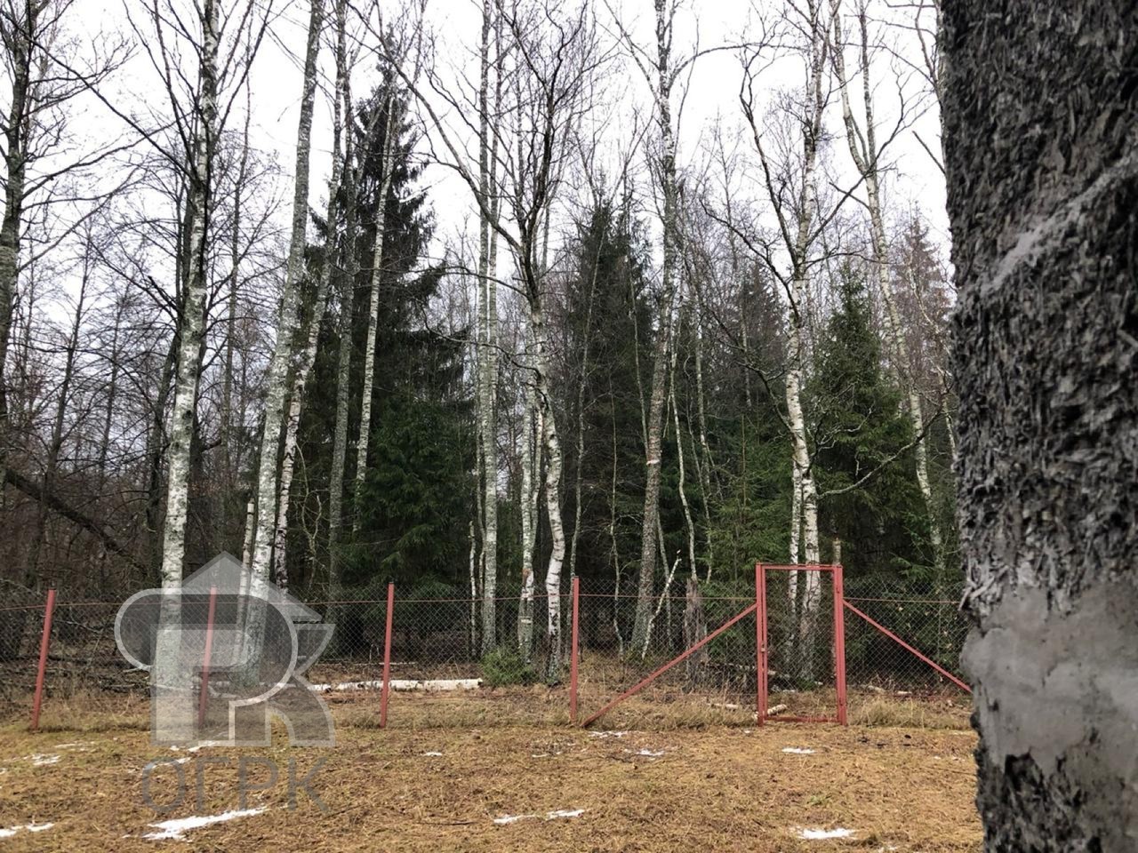 Купить землю, №386717