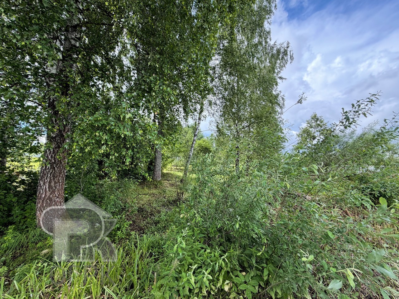 Купить землю, №390482