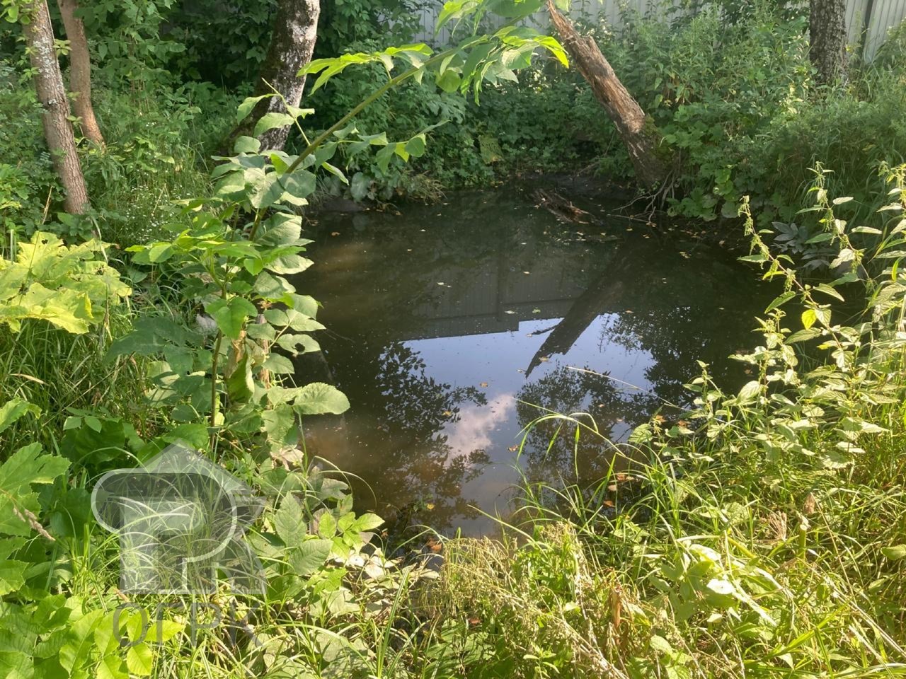 Купить землю, №386269
