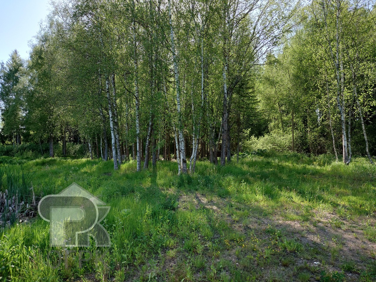Купить землю, №385696