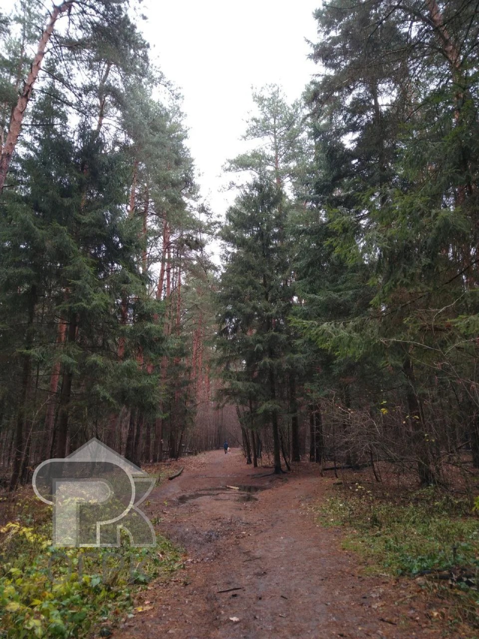 Купить 2-комнатную квартиру, №388813