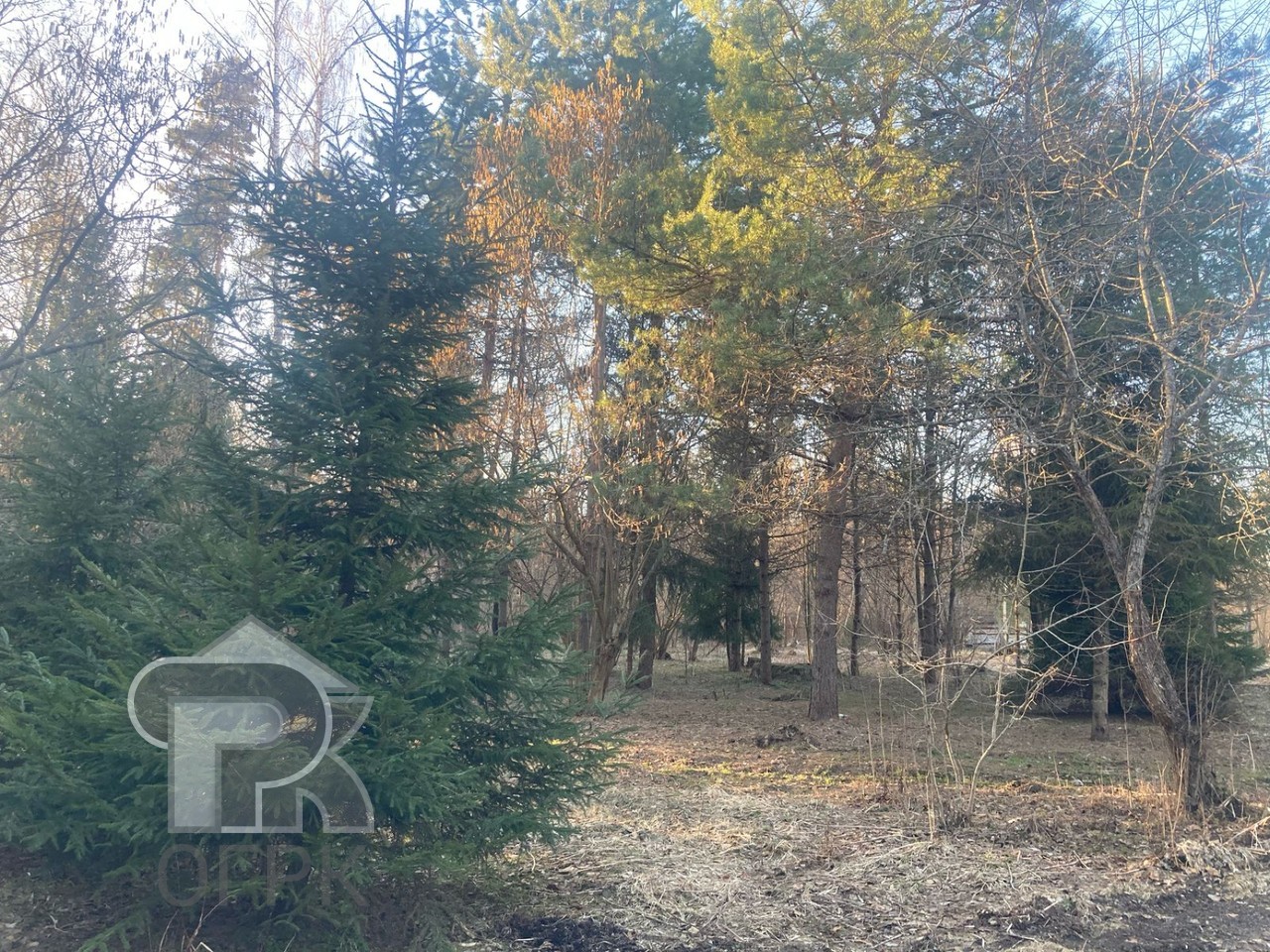 Купить землю, №384353
