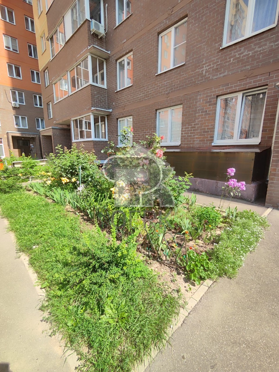 Купить 1-комнатную квартиру, №386364