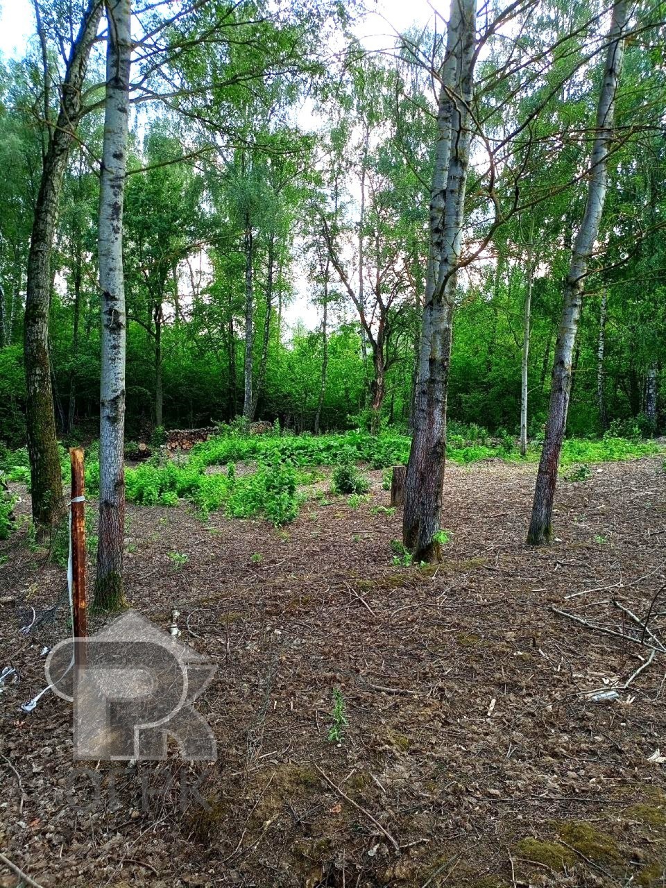 Купить землю, №386361