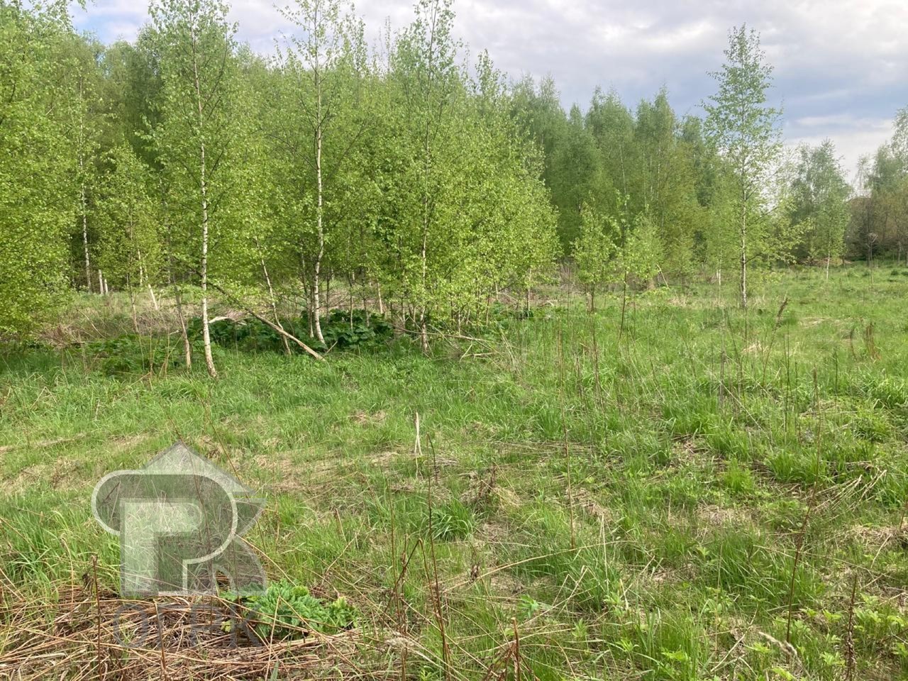 Купить землю, №385485