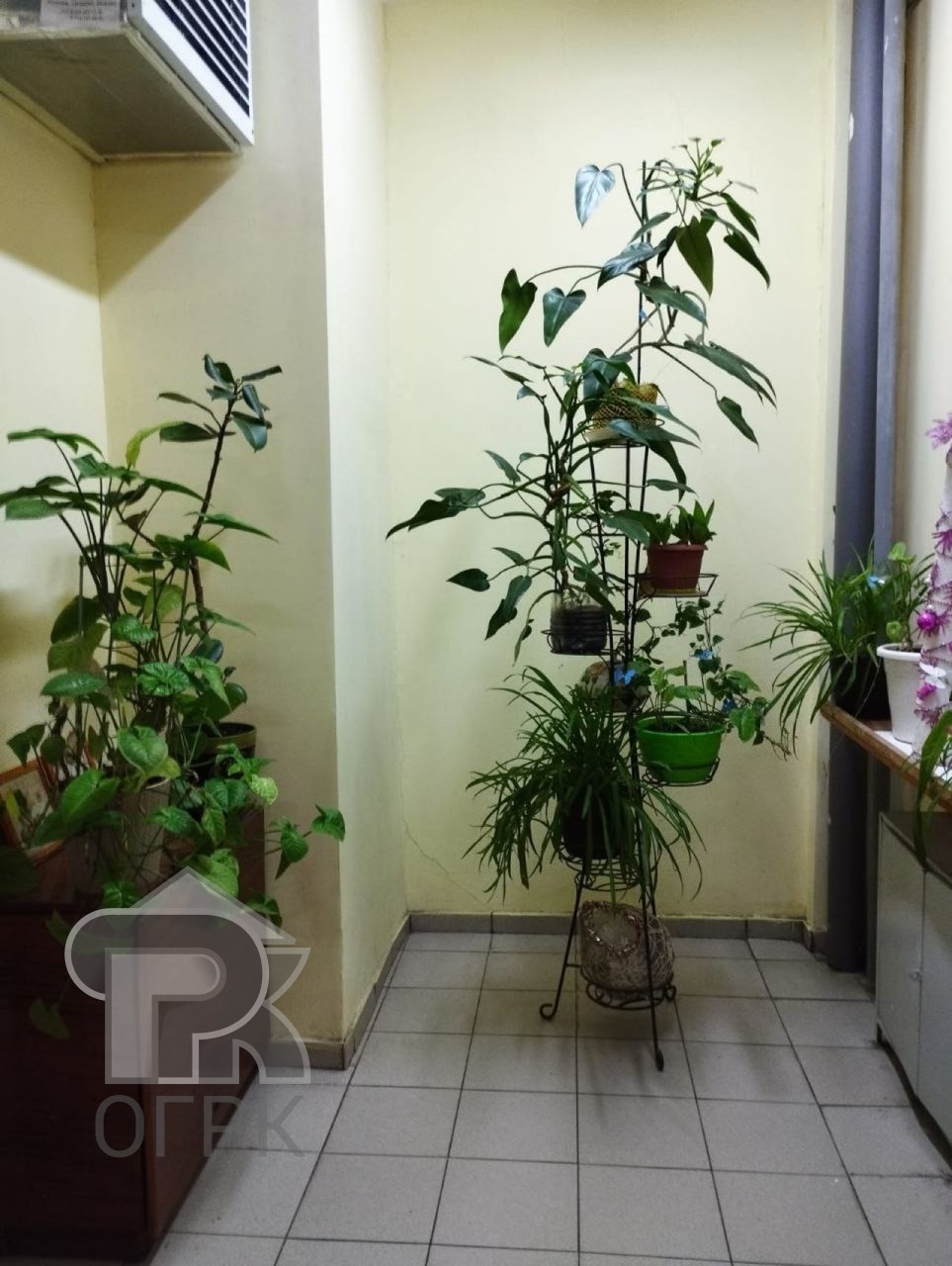 Купить 2-комнатную квартиру, №387749