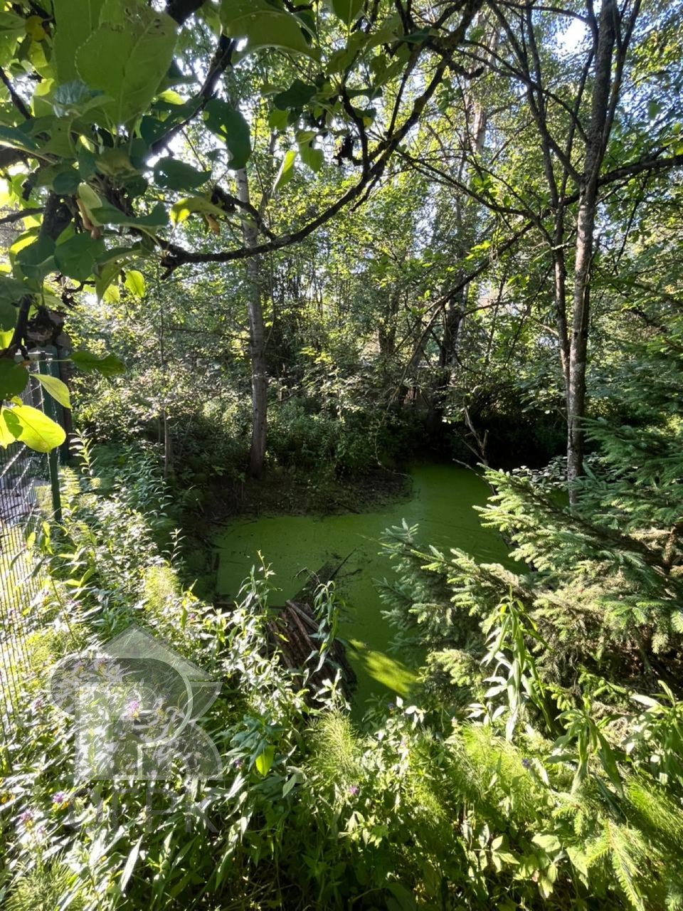 Купить землю, №386134