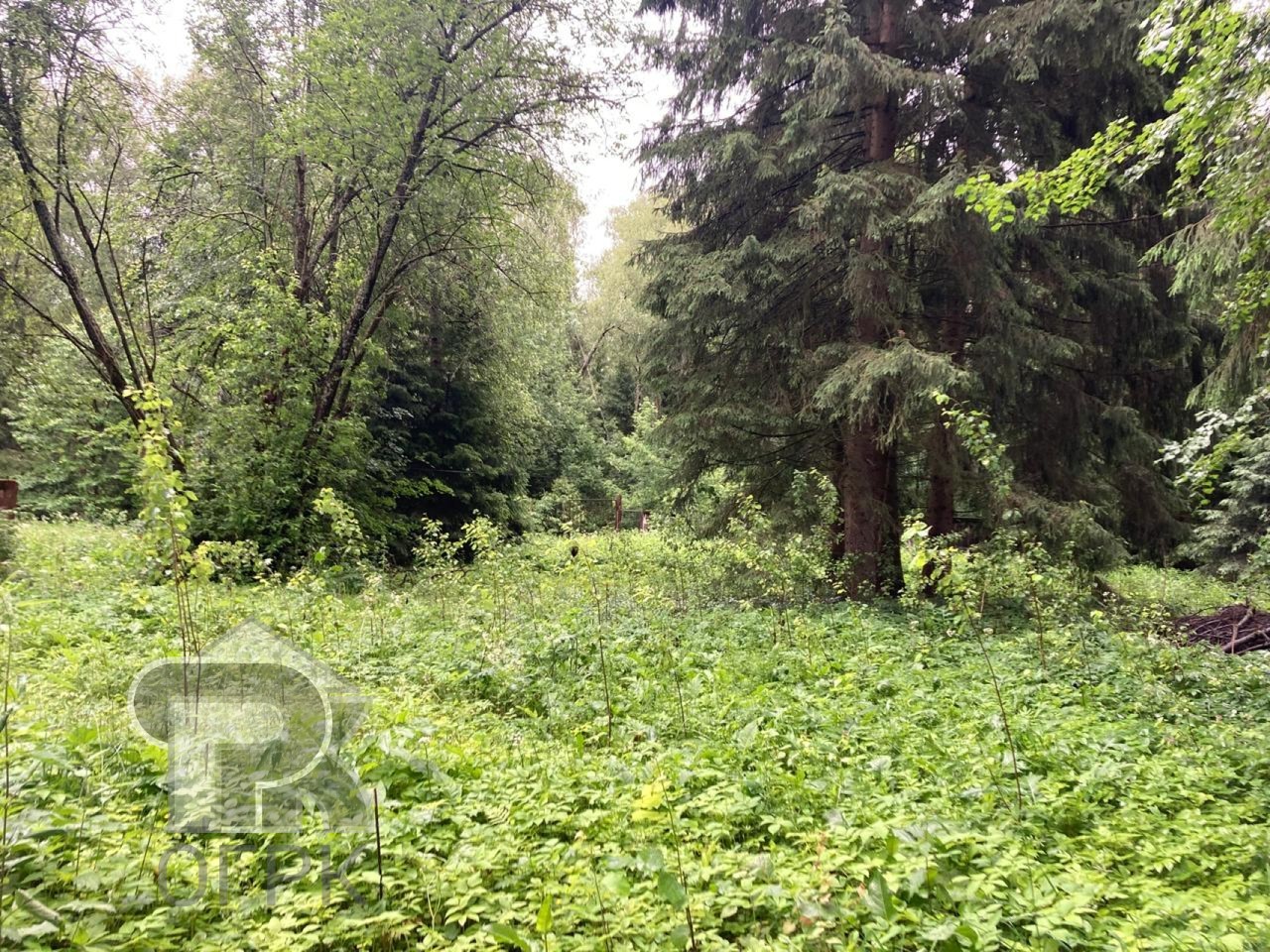 Купить землю, №386456