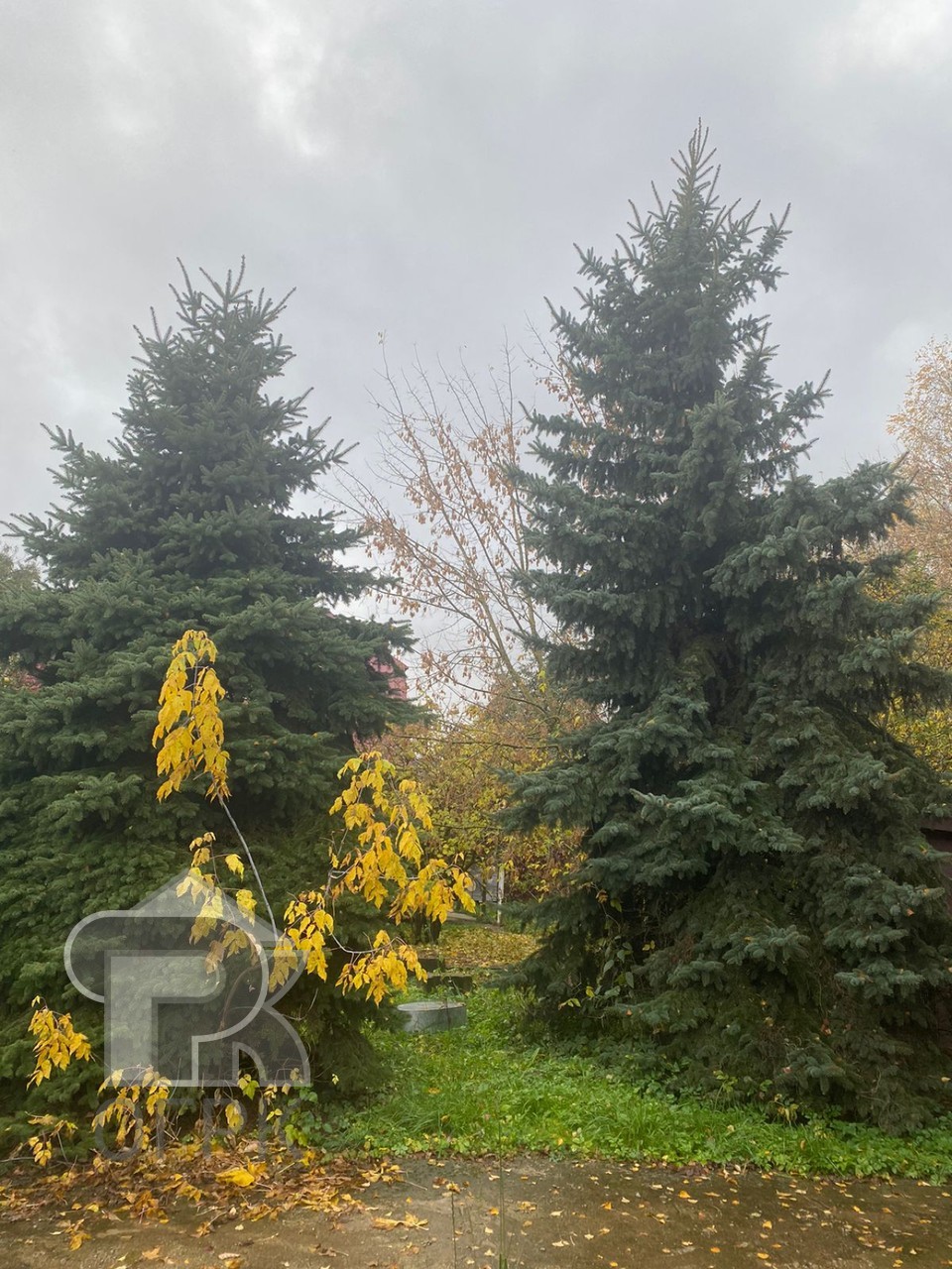 Купить коттедж, №387206