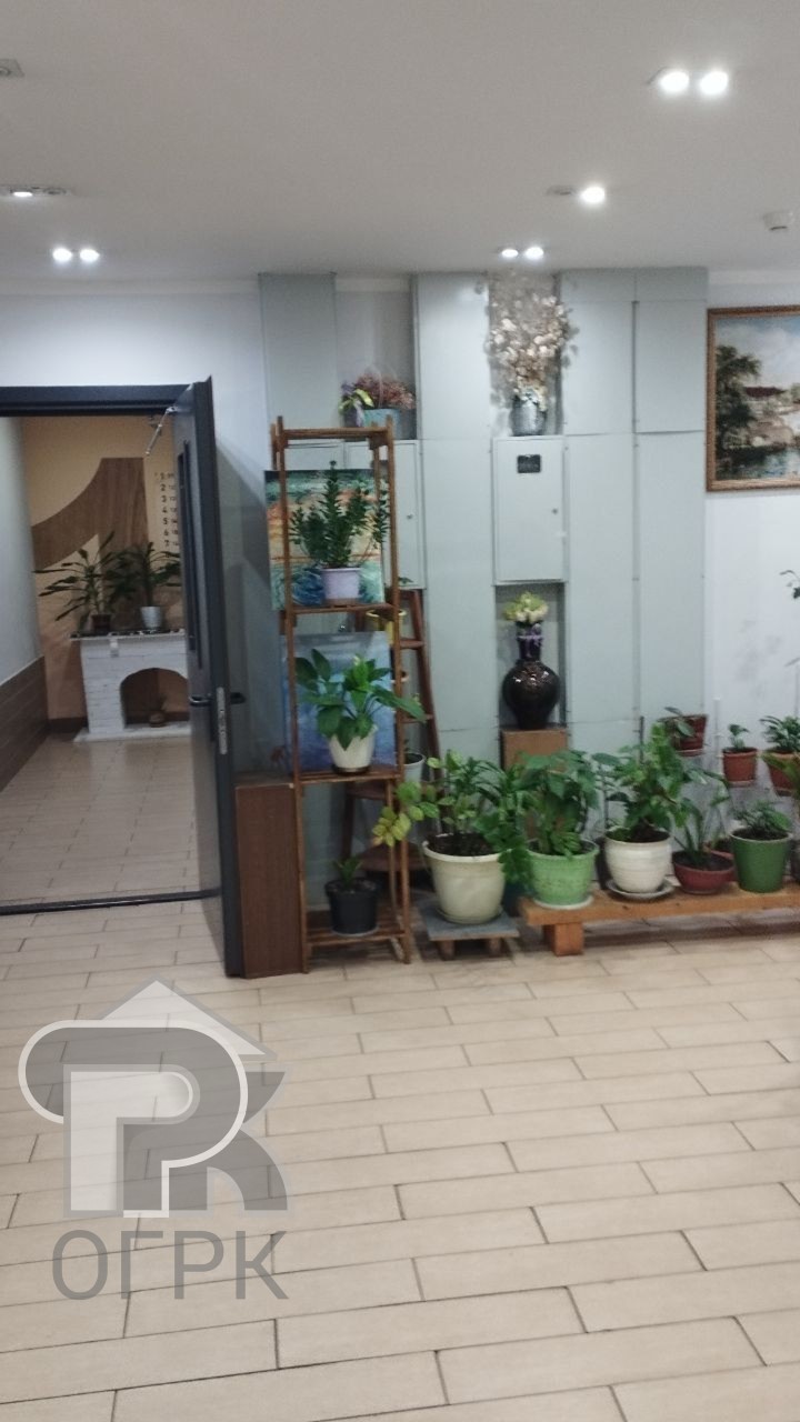 Купить студию, №387583