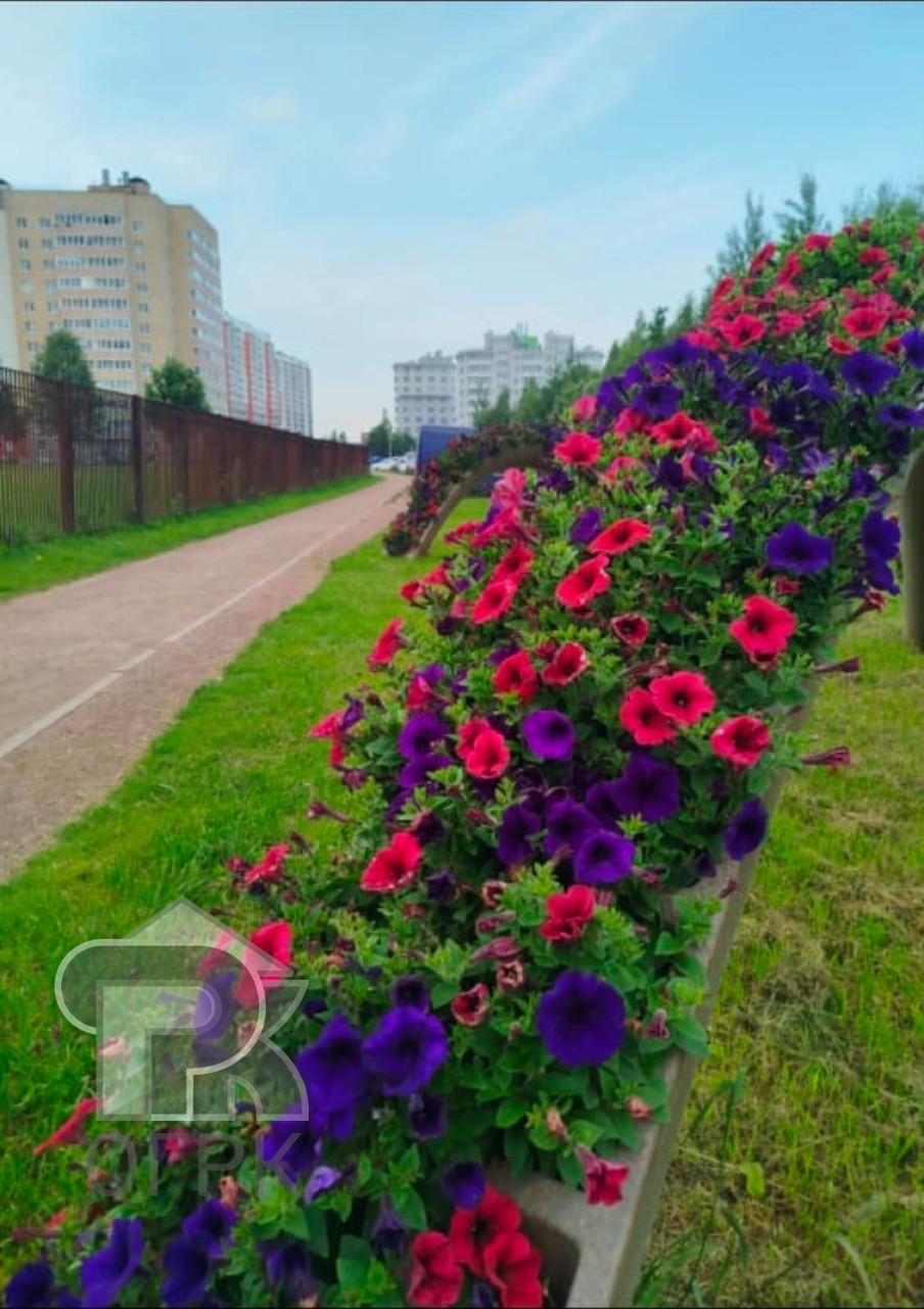 Купить 2-комнатную квартиру, №387532