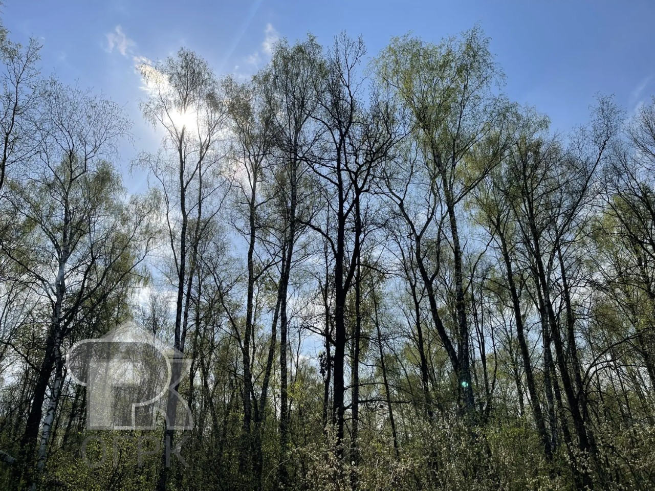 Купить дом, №388820