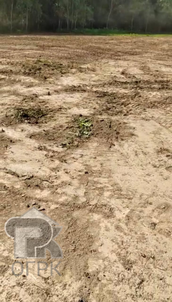 Купить землю, №388089