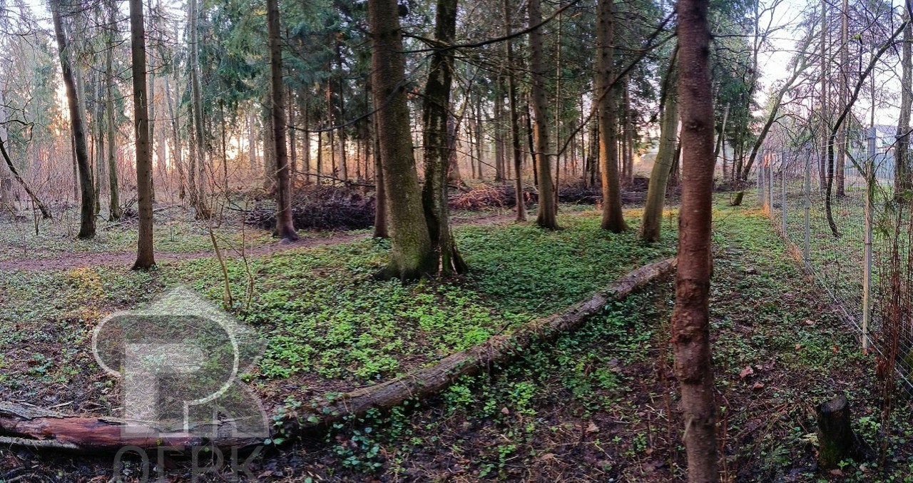 Купить землю, №389349