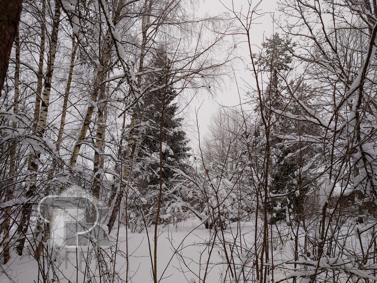 Купить землю, №384368