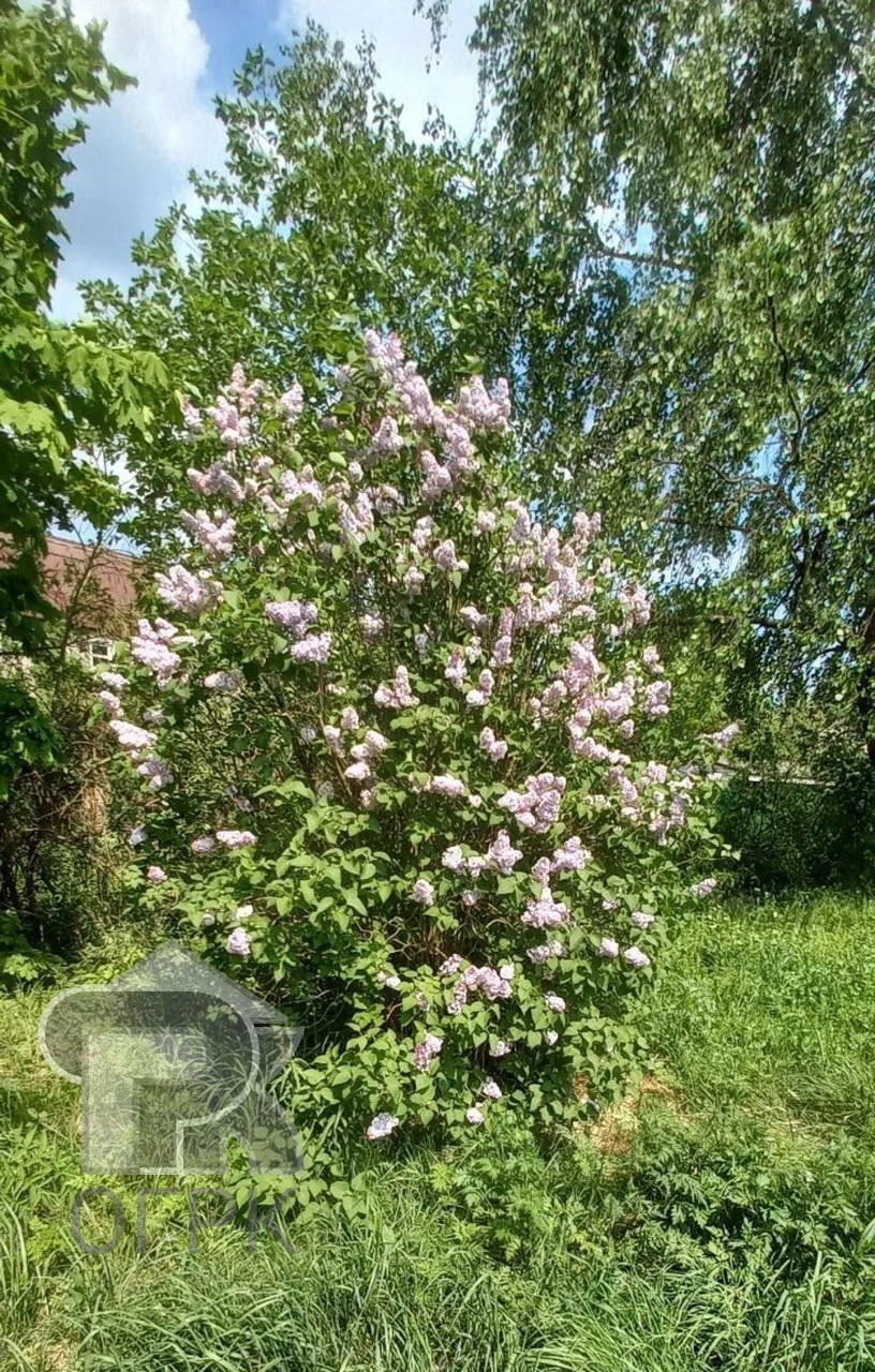 Купить землю, №390007
