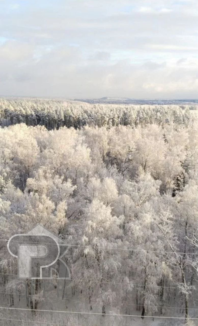 Купить 1-комнатную квартиру, №388209