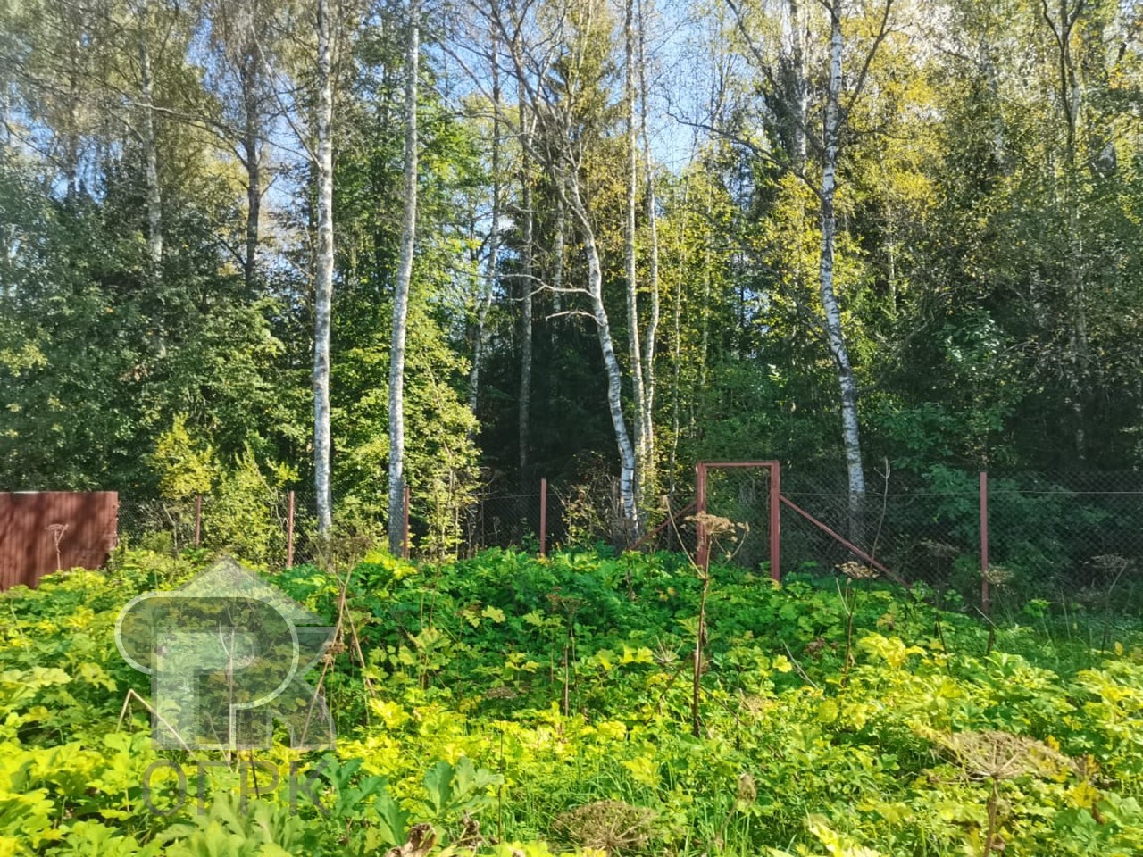 Купить землю, №386717
