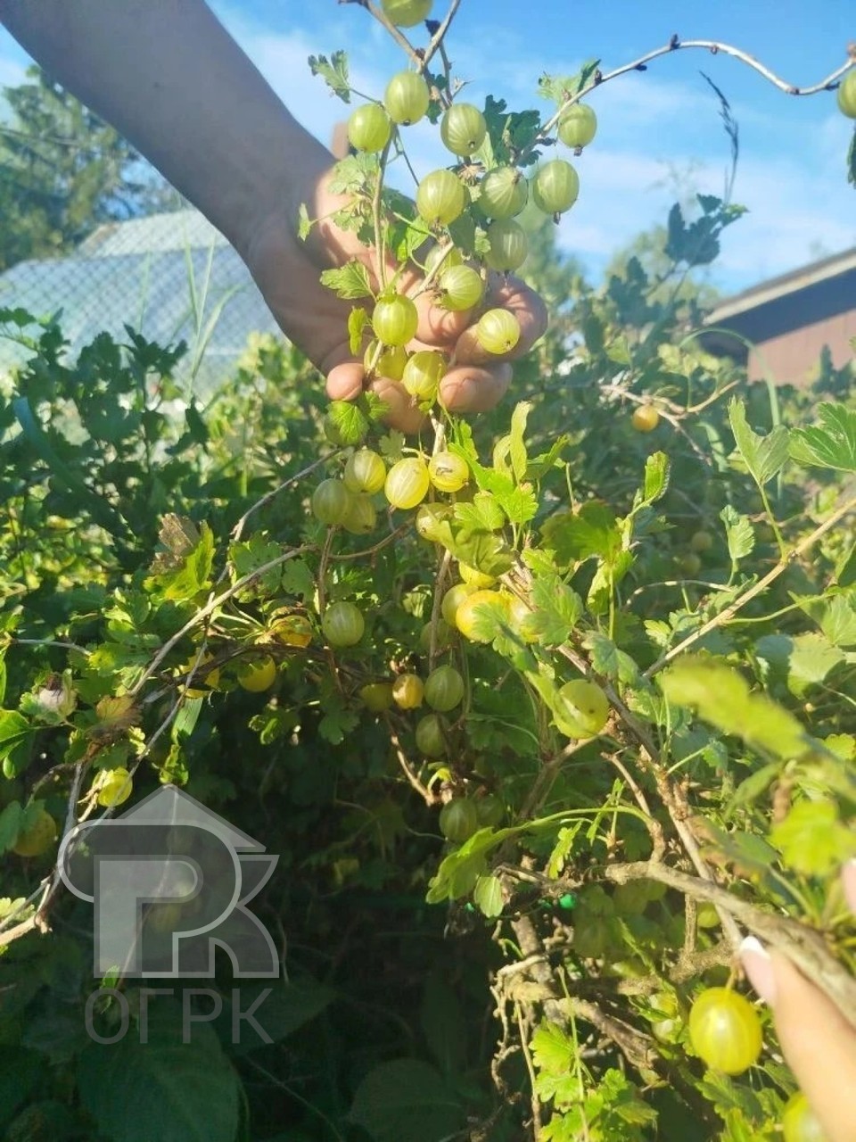 Купить дом, №391390