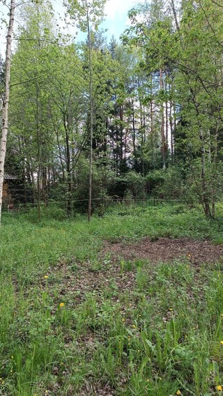 Купить землю, №384782