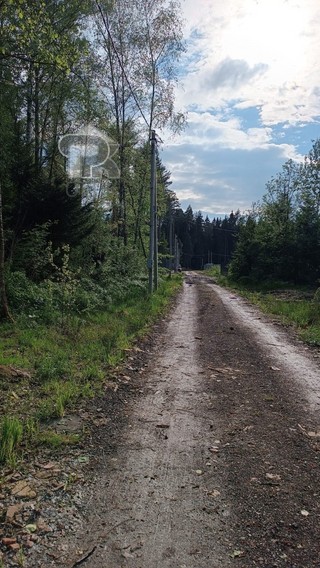 Купить землю, №384782