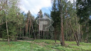 Купить землю, №384782