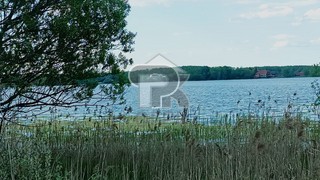 Купить землю, №384782