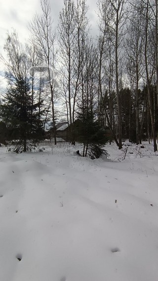 Купить землю, №384782