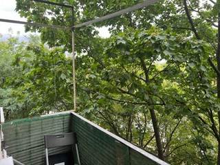 Купить 1-комнатную квартиру, №359250