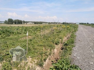 Купить землю, №389982