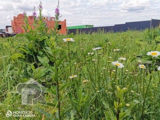 Купить землю, №386484