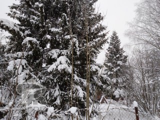 Купить землю, №384368