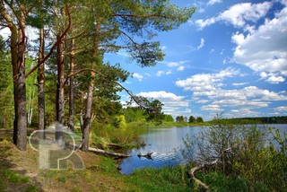 Купить землю, №385790