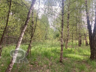Купить землю, №385528