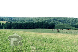 Купить землю, №390667