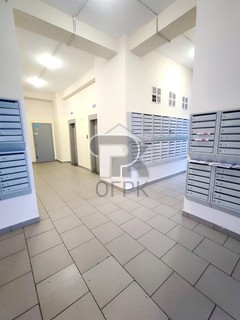 Купить студию, №387700