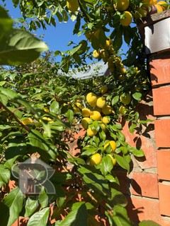 Купить коттедж, №391304